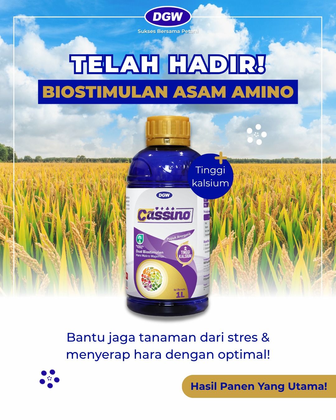 WhatsApp Image 2026-05-07 at 10.50.50.jpeg